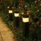 2+1 GRATIS – Waterdichte Zonne-Tuinverlichting – Vierkante Grondpinnen voor Paden, Gazon & Tuin